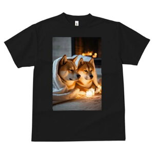 Č TVc fB[X t@  t  vg JWA 킢 lԗp h ̃fUC ʔ gF Č Lh ѕz 