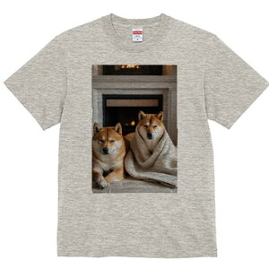 Č TVc fB[X t@  t  vg JWA 킢 lԗp h ̃fUC ʔ gF Č uPbg