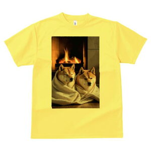 Č TVc fB[X t@  t  vg JWA 킢 lԗp h ̃fUC ʔ gF Č uPbg