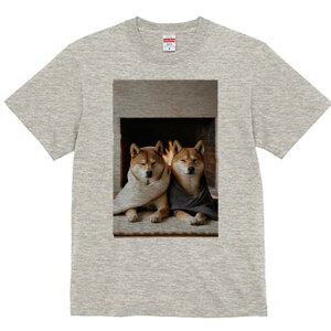 Č TVc fB[X t@  t  vg JWA 킢 lԗp h ̃fUC ʔ gF Č