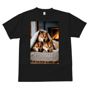 Č TVc fB[X t@  t  vg JWA 킢 lԗp h ̃fUC ʔ ѕz Č gF