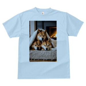 Č TVc fB[X t@  t  vg JWA 킢 lԗp h ̃fUC ʔ ѕz Č gF