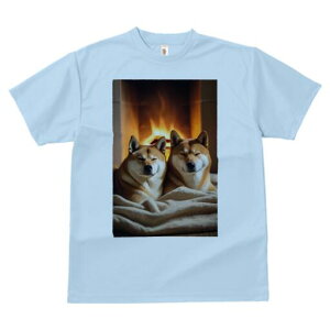 Č TVc fB[X t@  t  vg JWA 킢 lԗp h ̃fUC ʔ gF Č  ѕz 