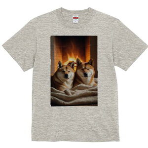 Č TVc fB[X t@  t  vg JWA 킢 lԗp h ̃fUC ʔ gF Č  ѕz 