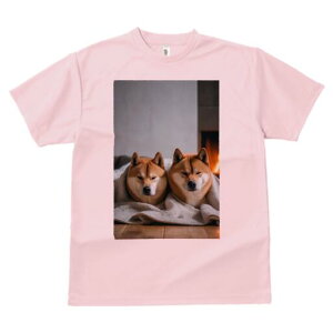 Č TVc fB[X t@  t  vg JWA 킢 lԗp h ̃fUC ʔ gF Č ѕz 