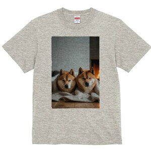 Č TVc fB[X t@  t  vg JWA 킢 lԗp h ̃fUC ʔ gF Č ѕz 