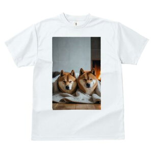 Č TVc fB[X t@  t  vg JWA 킢 lԗp h ̃fUC ʔ gF Č ѕz 