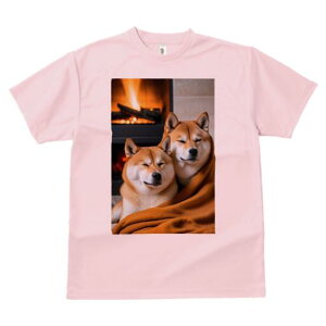 Č TVc fB[X t@  t  vg JWA 킢 lԗp h ̃fUC ʔ gF Č uPbg g ~