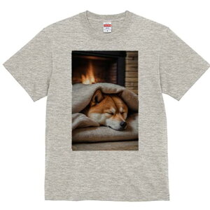 Č TVc fB[X t@  t  vg JWA 킢 lԗp h ̃fUC ʔ gF Č  ѕz NbV