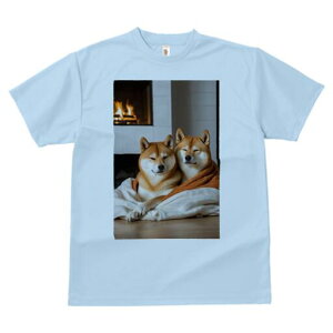 Č TVc fB[X t@  t  vg JWA 킢 lԗp h ̃fUC ʔ gF Č uPbg