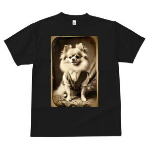 |jA TVc fB[X t@  t  vg JWA 킢 lԗp h ̃fUC ʔ g |jA Be[W AeB[N 