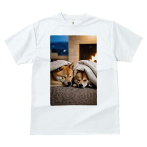 Č TVc fB[X t@  t  vg JWA 킢 lԗp h ̃fUC ʔ gF Č ѕz