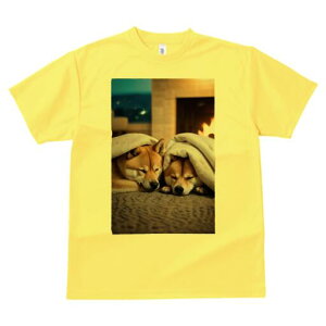 Č TVc fB[X t@  t  vg JWA 킢 lԗp h ̃fUC ʔ gF Č ѕz