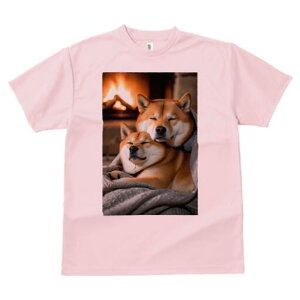 Č TVc fB[X t@  t  vg JWA 킢 lԗp h ̃fUC ʔ gF Č ѕz  g