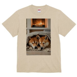 Č TVc fB[X t@  t  vg JWA 킢 lԗp h ̃fUC ʔ gF Č ѕz  ~