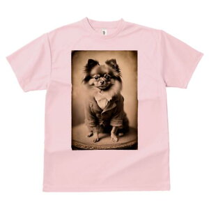 ` TVc fB[X t@  t  vg JWA 킢 lԗp h ̃fUC ʔ X[c ` lN^C AeB[N