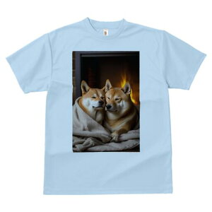 Č TVc fB[X t@  t  vg JWA 킢 lԗp h ̃fUC ʔ gF Č ѕz