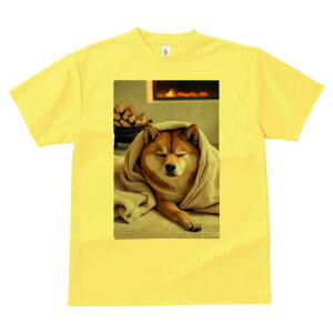 Č TVc fB[X t@  t  vg JWA 킢 lԗp h ̃fUC ʔ gF Č ؍ ѕz x