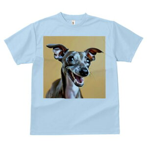 C^AO[nEh TVc fB[X t@  t  vg JWA 킢 lԗp h ̃fUC ʔ C^AO[nEh