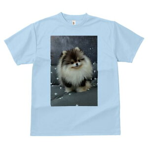 |jA TVc fB[X t@  t  vg JWA 킢 lԗp h ̃fUC ʔ ӂӂ |jA 킢 NbV 