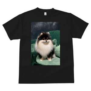 |jA TVc fB[X t@  t  vg JWA 킢 lԗp h ̃fUC ʔ wi |jA  \t@ NbV