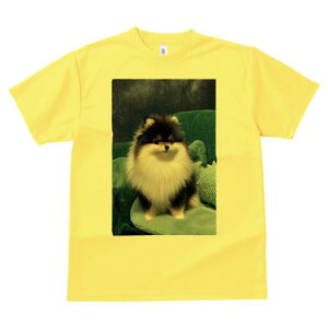 |jA TVc fB[X t@  t  vg JWA 킢 lԗp h ̃fUC ʔ wi |jA  \t@ NbV