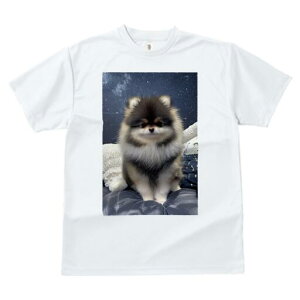 |jA TVc fB[X t@  t  vg JWA 킢 lԗp h ̃fUC ʔ |jA