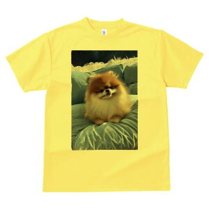 |jA TVc fB[X t@  t  vg JWA 킢 lԗp h ̃fUC ʔ NbV |jA  ӂӂ