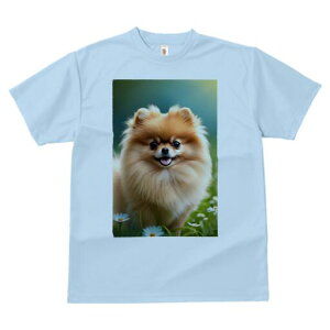 |jA TVc fB[X t@  t  vg JWA 킢 lԗp h ̃fUC ʔ  |jA fCW[ 