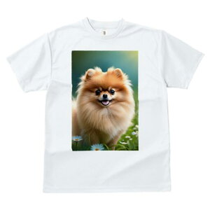 |jA TVc fB[X t@  t  vg JWA 킢 lԗp h ̃fUC ʔ  |jA fCW[ 