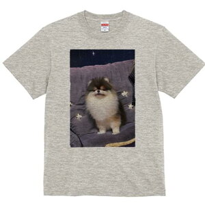 |jA TVc fB[X t@  t  vg JWA 킢 lԗp h ̃fUC ʔ  |jA \t@