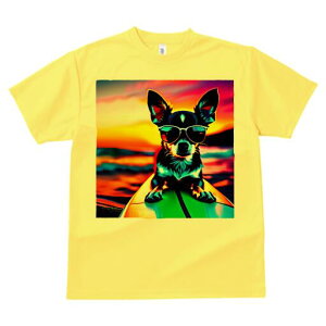 ` TVc fB[X t@  t  vg JWA 킢 lԗp h ̃fUC ʔ TOX ` T[t{[h C [Ă