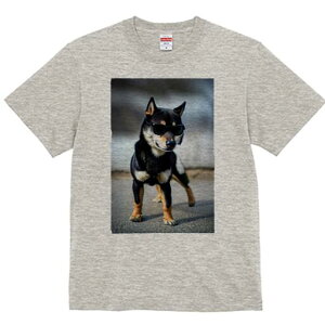 Č TVc fB[X t@  t  vg JWA 킢 lԗp h ̃fUC ʔ TOX Č