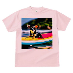 ` TVc fB[X t@  t  vg JWA 킢 lԗp h ̃fUC ʔ TOX ` T[t{[h C