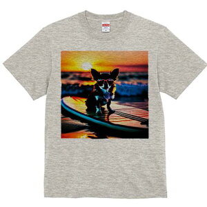 ` TVc fB[X t@  t  vg JWA 킢 lԗp h ̃fUC ʔ [Ă ` C TOX T[t{[h