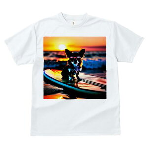 ` TVc fB[X t@  t  vg JWA 킢 lԗp h ̃fUC ʔ [Ă ` C TOX T[t{[h