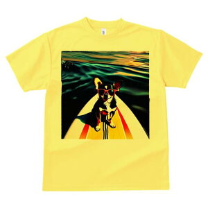 ` TVc fB[X t@  t  vg JWA 킢 lԗp h ̃fUC ʔ TOX ` T[t{[h C