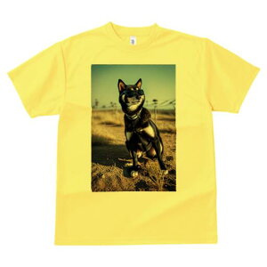 Č TVc fB[X t@  t  vg JWA 킢 lԗp h ̃fUC ʔ TOX Č r 