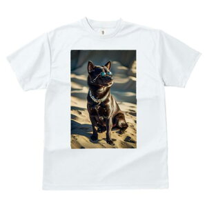 Č TVc fB[X t@  t  vg JWA 킢 lԗp h ̃fUC ʔ TOX Č  