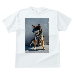 Č TVc fB[X t@  t  vg JWA 킢 lԗp h ̃fUC ʔ TOX Č n[lX