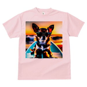 ` TVc fB[X t@  t  vg JWA 킢 lԗp h ̃fUC ʔ TOX ` T[t{[h C [Ă