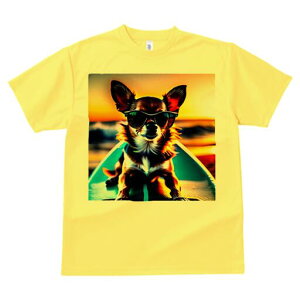 ` TVc fB[X t@  t  vg JWA 킢 lԗp h ̃fUC ʔ TOX ` T[t{[h C [Ă