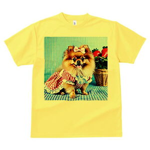 |jA TVc fB[X t@  t  vg JWA 킢 lԗp h ̃fUC ʔ { |jA  oXPbg `FbN