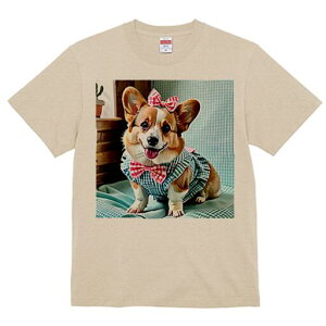 R[M[ TVc fB[X t@  t  vg JWA 킢 lԗp h ̃fUC ʔ { R[M[ `FbN