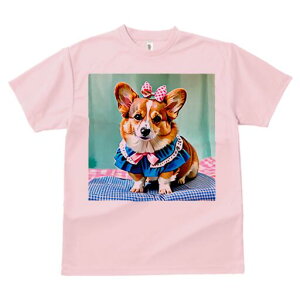 R[M[ TVc fB[X t@  t  vg JWA 킢 lԗp h ̃fUC ʔ { R[M[ 