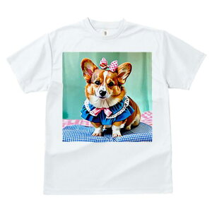 R[M[ TVc fB[X t@  t  vg JWA 킢 lԗp h ̃fUC ʔ { R[M[ 