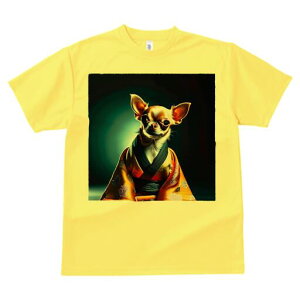 ` TVc fB[X t@  t  vg JWA 킢 lԗp h ̃fUC ʔ  `