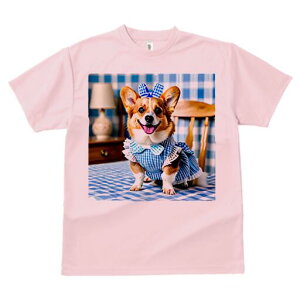 R[M[ TVc fB[X t@  t  vg JWA 킢 lԗp h ̃fUC ʔ MK`FbN R[M[ { s[X ֎q