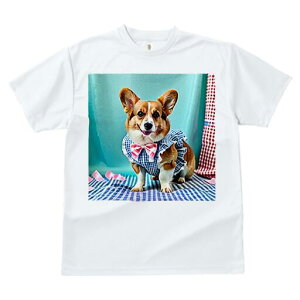 R[M[ TVc fB[X t@  t  vg JWA 킢 lԗp h ̃fUC ʔ `FbN R[M[ { 킢 hbOEFA