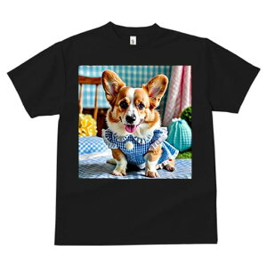 R[M[ TVc fB[X t@  t  vg JWA 킢 lԗp h ̃fUC ʔ MK`FbN R[M[ s[X xbh